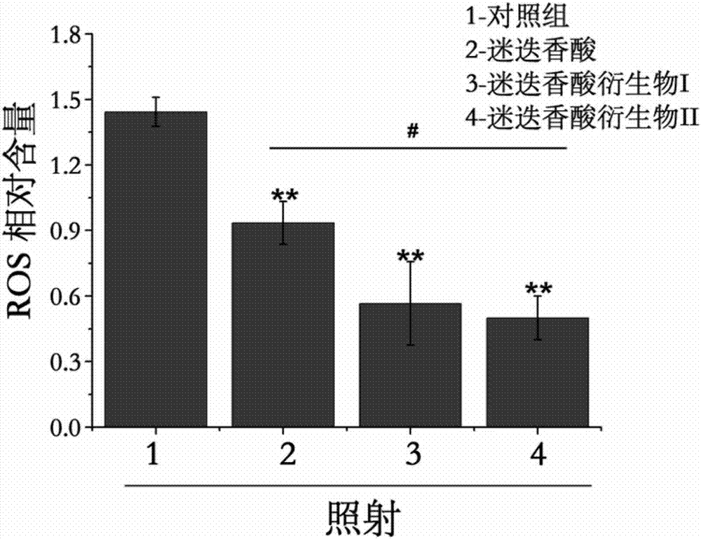 迷迭香酸衍生物及制备方法及应用与流程