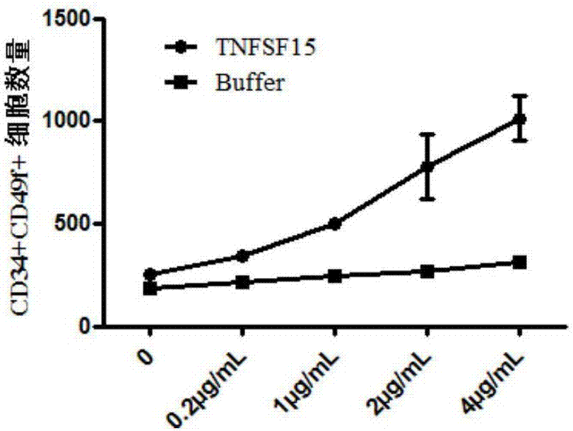 TNFSF15蛋白在人脐带血造血干细胞体外扩增中的用途的制作方法与工艺