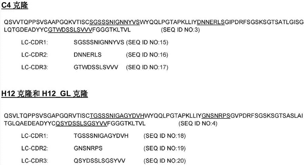 抗PD‑L1抗体的制作方法与工艺