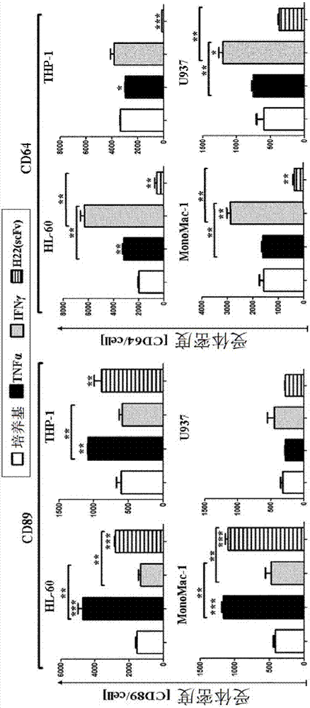 抗CD89细胞毒素的复合物的制作方法与工艺