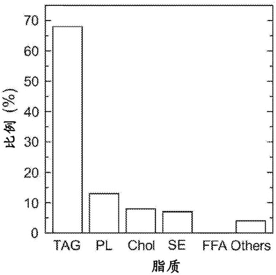 脂质组合物及其制造方法与流程