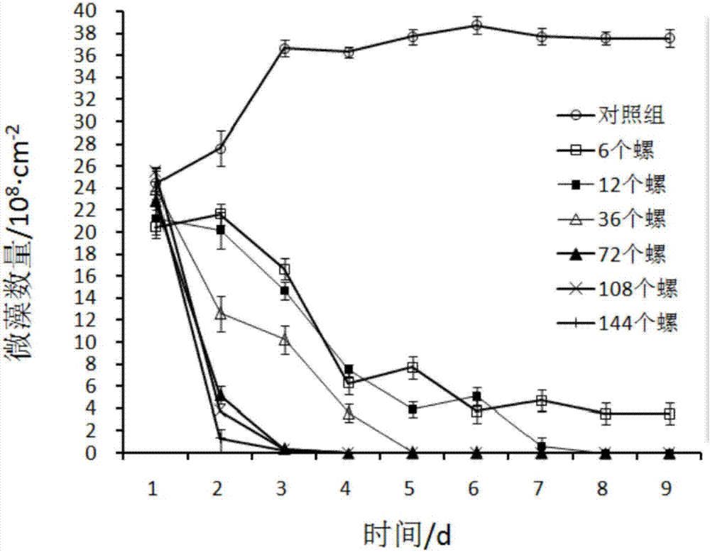 坛紫菜贝壳丝状体培育过程中藻类防治方法与流程