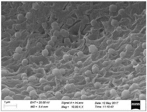 钴氮共掺杂多孔碳微球材料的制备及应用的制作方法与工艺