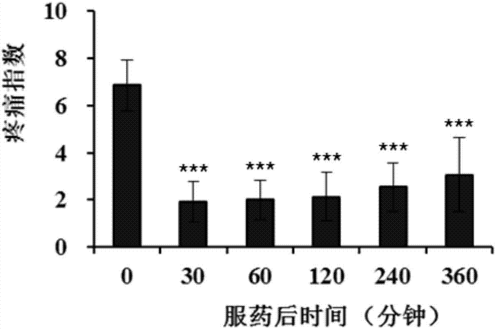 吲哚美辛在制备治疗口腔黏膜炎药物中的应用的制作方法与工艺