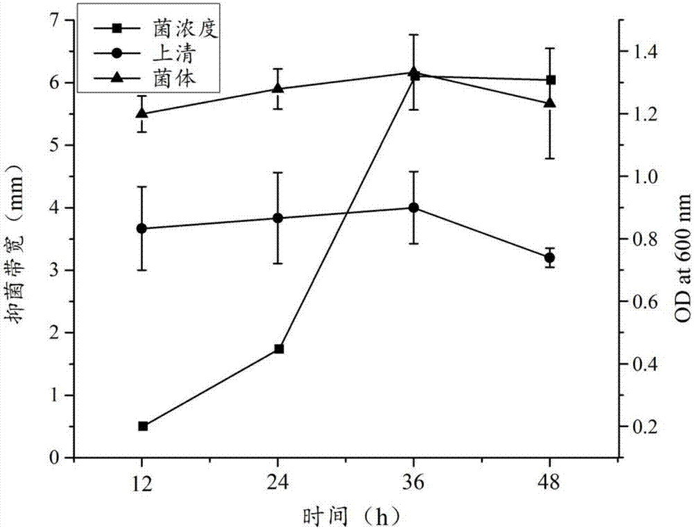 一种多粘类芽孢杆菌抑菌制剂及其制备方法与流程