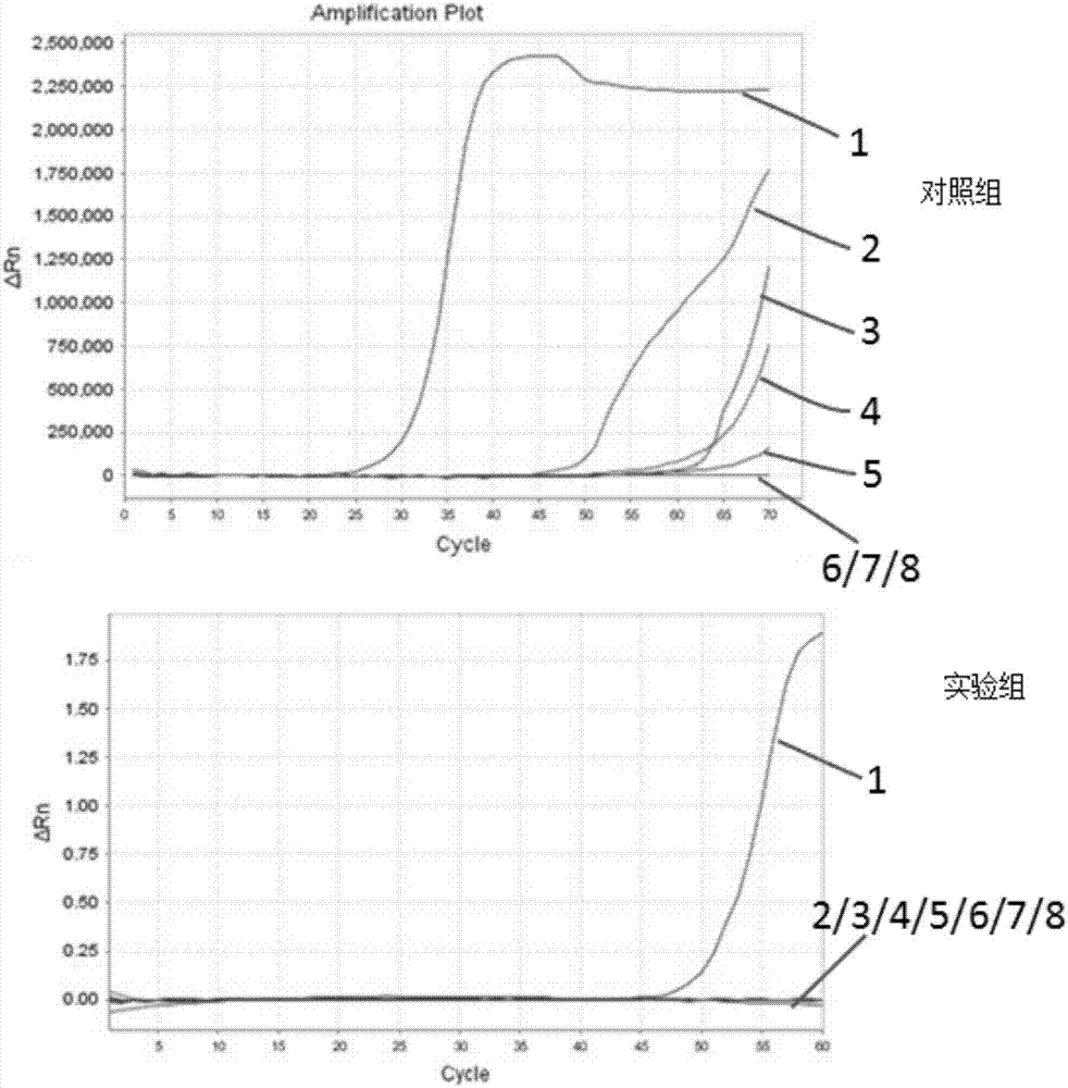 一种检测铁皮石斛的核酸组合、试剂盒以及方法与流程