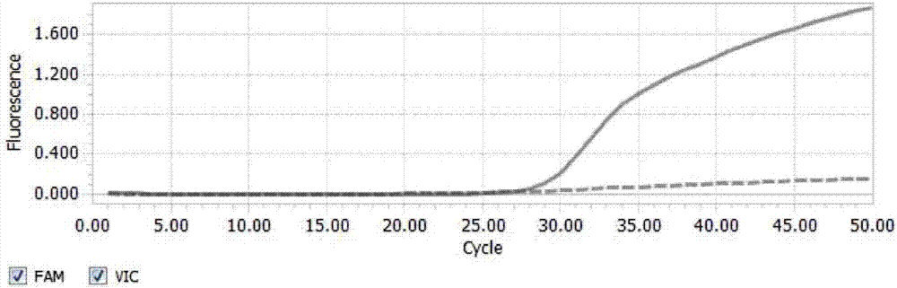 检测SMAD4基因V354L位点突变的试剂盒的制作方法与工艺