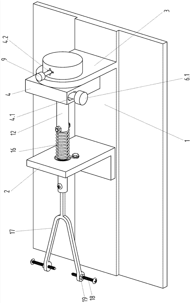 一种轻型大鼠中度弥漫性轴索损伤模型的制作方法与工艺