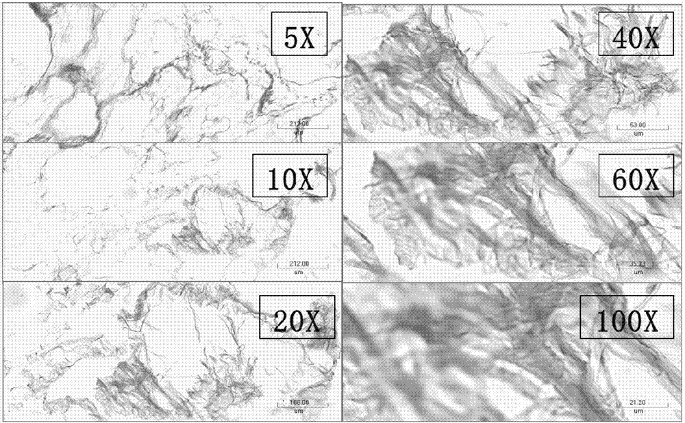 动物膀胱脱细胞基质的制备方法、所得的基质及应用与流程