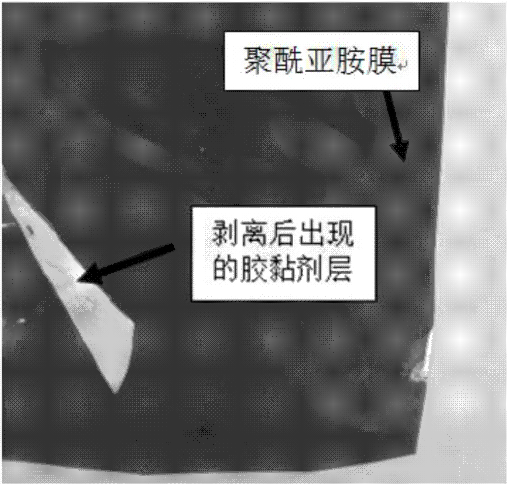 可降解胶黏剂组合物及其制备方法和用途与流程