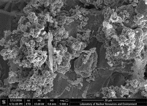 一种微生物燃料电池产氢的制作方法与流程