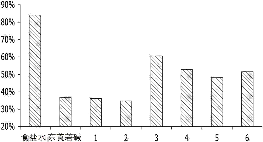 记忆力、学习力、认知力提高用组合物的制作方法与工艺