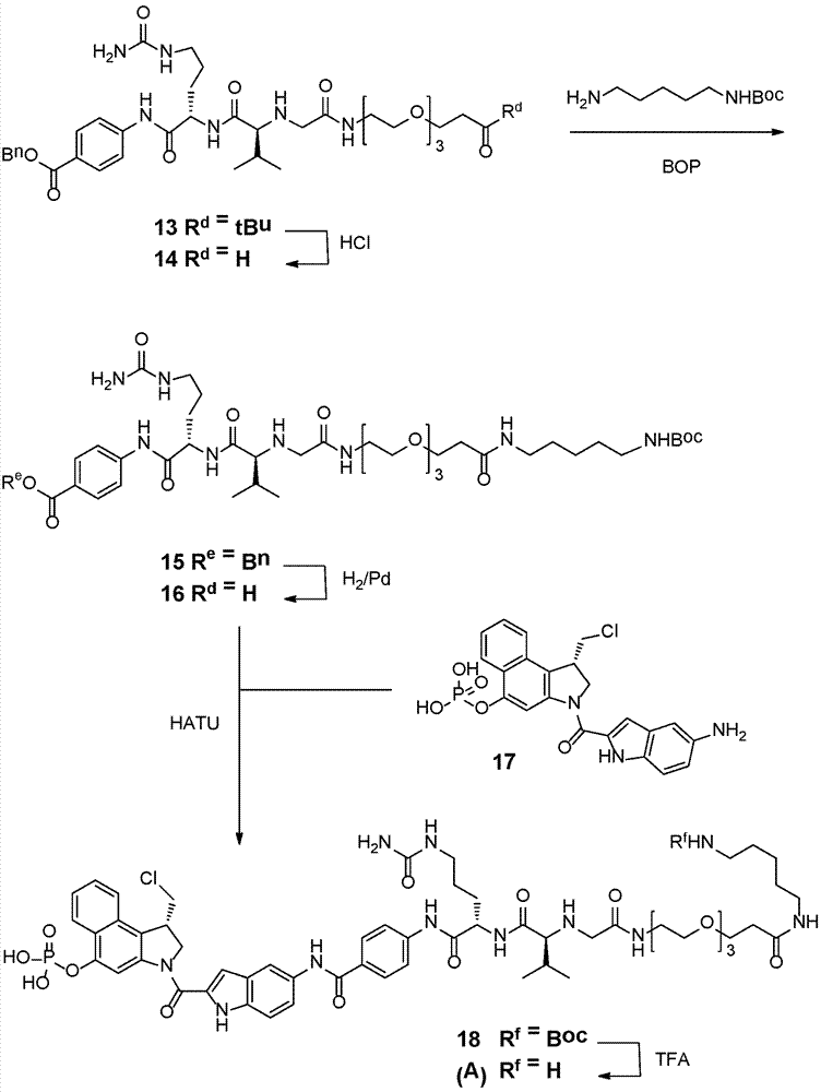 可通过转谷氨酰胺酶缀合的抗体和由其制备的缀合物的制作方法 