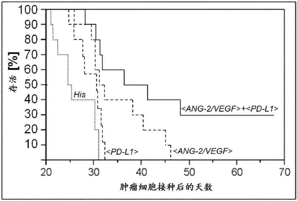 结合血管生成素2的抗体与结合编程性死亡配体1的抗体的组合疗法的制作方法与工艺