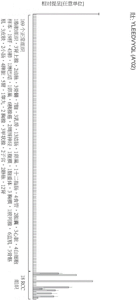 用于肾细胞癌(RCC)免疫治疗的新型肽和肽组合物和支架的制作方法与工艺