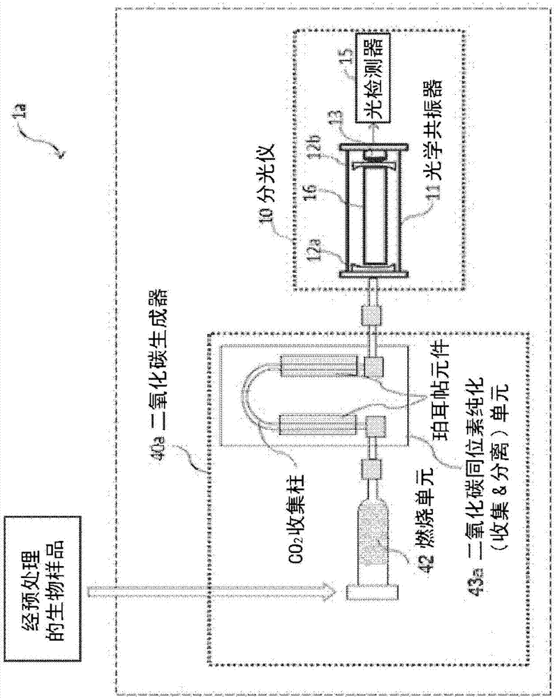 碳同位素分析装置和碳同位素分析方法与流程