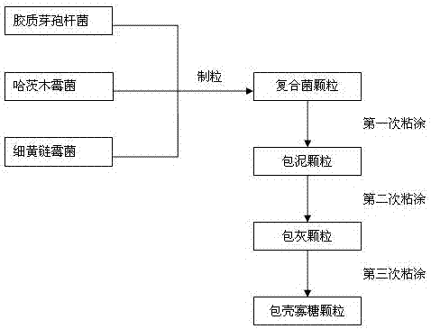 抗辣椒青枯病复合微生物菌剂的生产工艺的制作方法