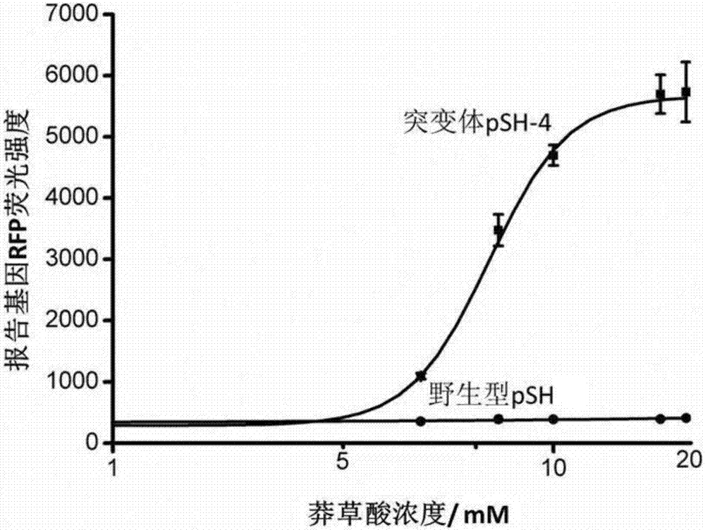 一种高产莽草酸突变体的制备方法与流程