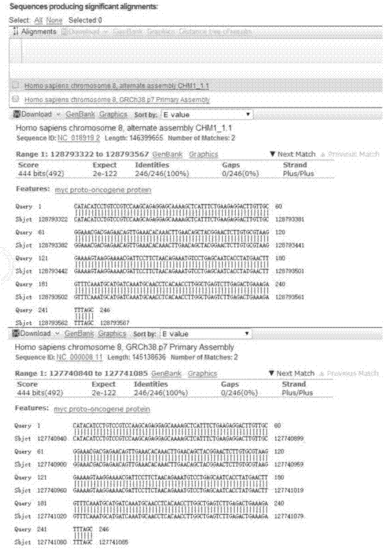 一种利用两步重叠PCR法获取人体组织中MYC基因的方法与流程