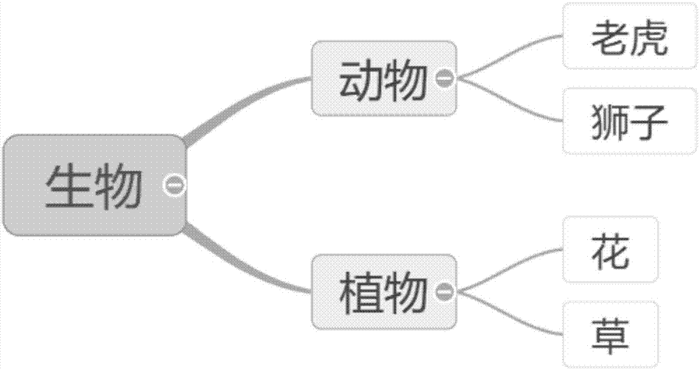 一种动画展示方法、系统、可存储介质及计算机设备与流程