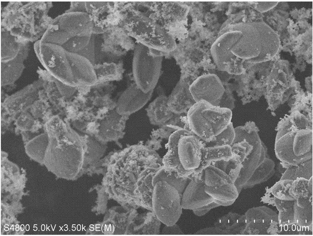 一种ZSM-51分子筛的合成方法及所合成的ZSM-51分子筛与流程