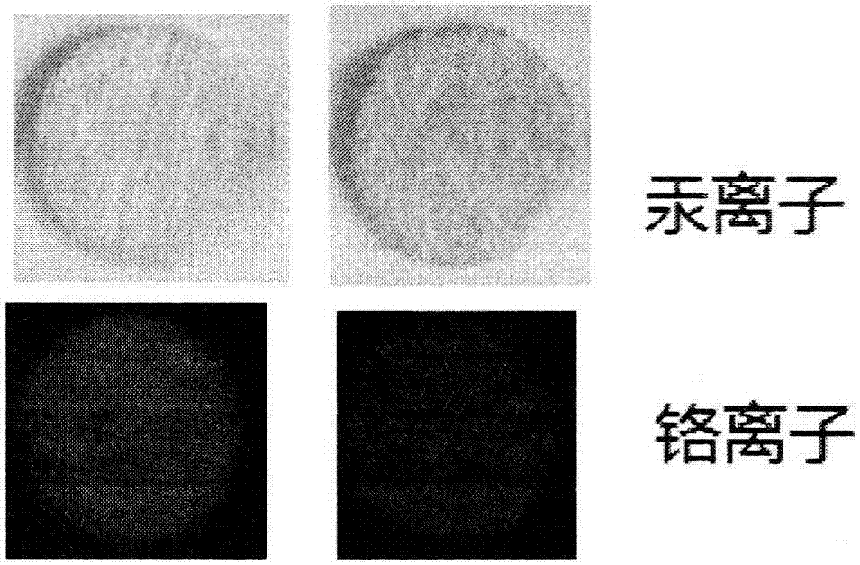 重金属检测传感材料的应用的制作方法