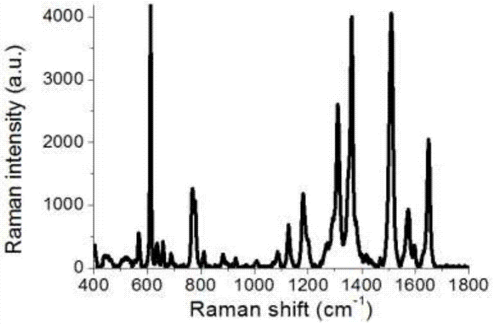 一种经济型高精密表面增强拉曼活性基底的制造方法与流程