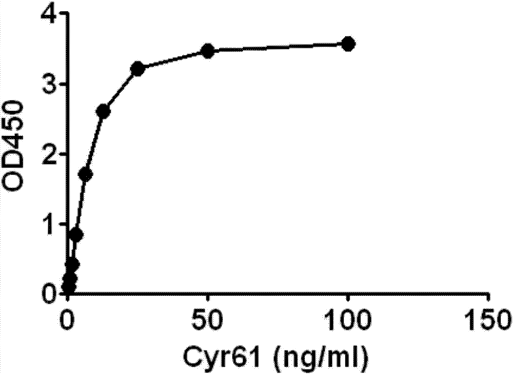 一种Cyr61蛋白检测试剂盒及其使用方法与流程