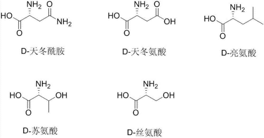 D‑氨基酸及其衍生物在抗烟草花叶病毒方面的应用的制作方法