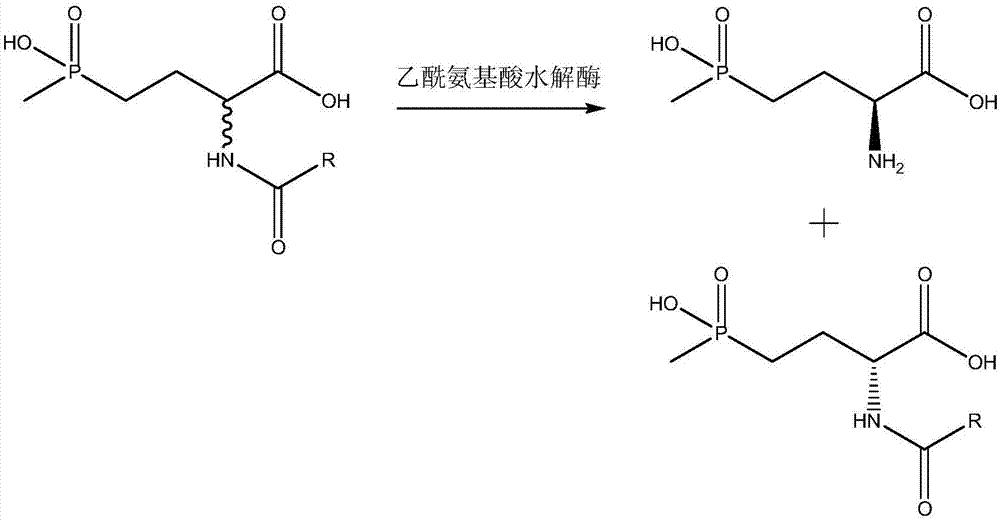 一种生物酶法去消旋化制备L‑草铵膦的方法与流程