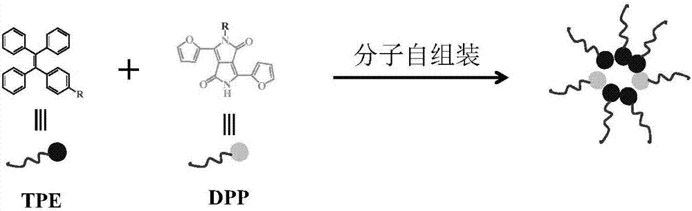 基于吡咯并吡咯二酮类化合物和四苯乙烯类化合物的多功能有机荧光纳米颗粒及制备和应用的制作方法