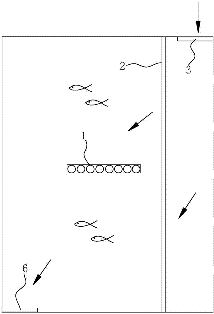 一种草鱼的山泉流水生态养殖方法与流程