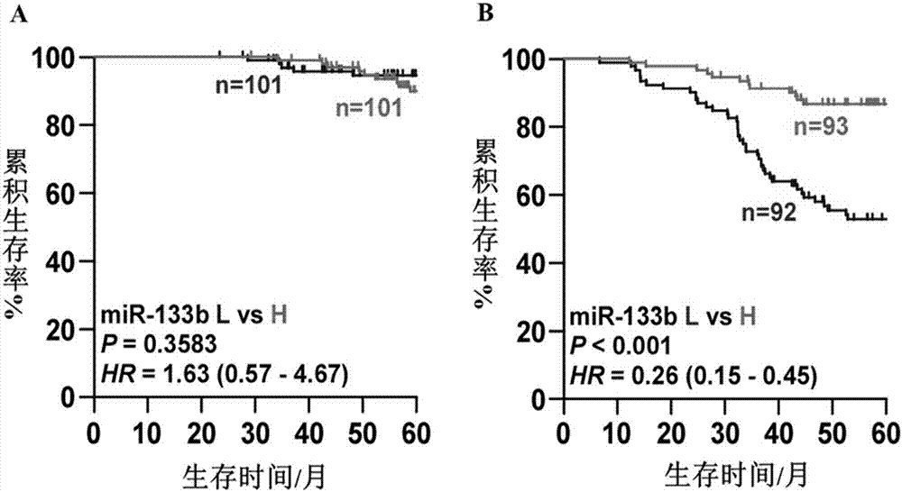 miR‑133b在前列腺癌骨转移诊断、预测、治疗中的应用的制作方法