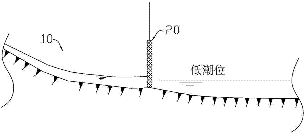 感潮河道闸泵调度方法及感潮河道的生态修复方法与流程