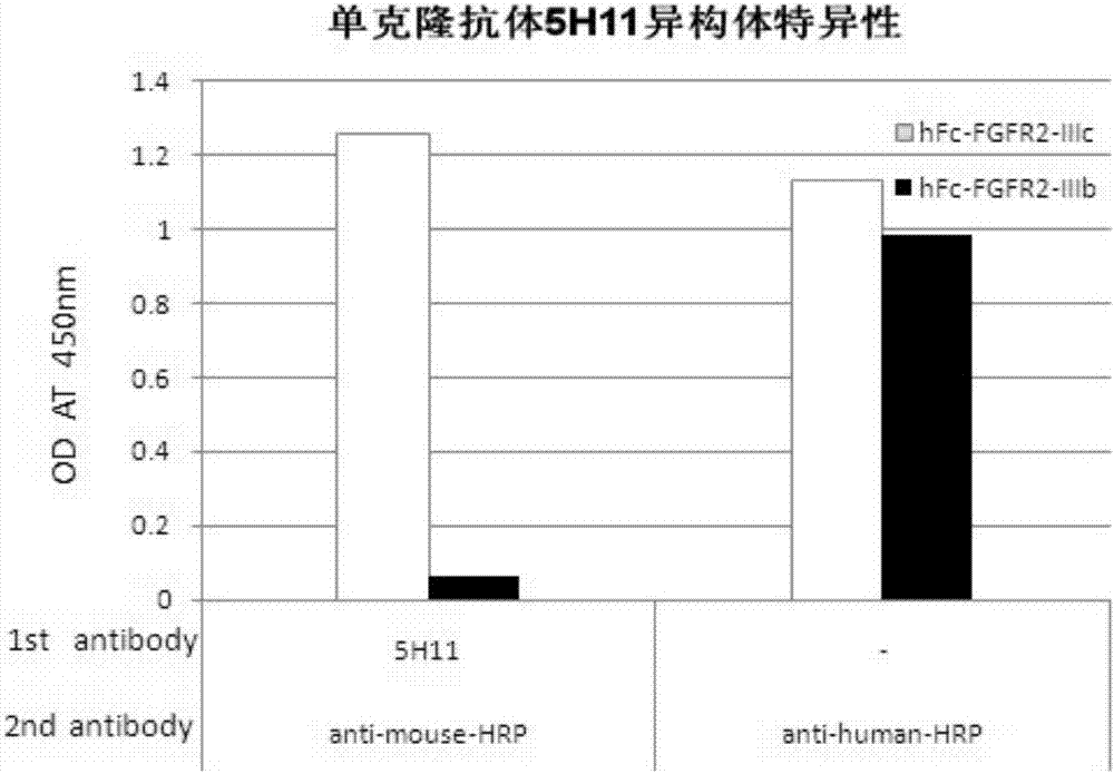 抗FGFR2-IIIc单克隆抗体、杂交瘤细胞株和应用的制作方法