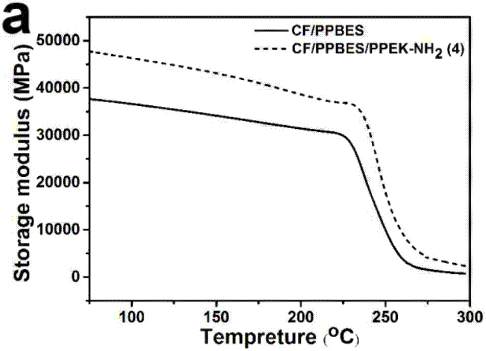 碳纤维增强杂萘联苯共聚芳醚砜共混树脂基复合材料用相容剂、制备方法及应用与流程