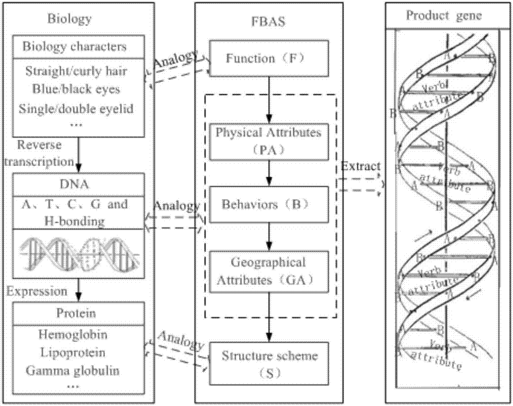 面向产品概念设计的FBAS功能模型及基于该功能模型和基因表达的产品概念设计方法与流程