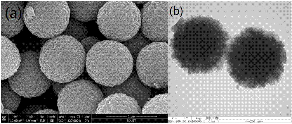一种氮掺杂纳米级空心碳球材料的制备方法和应用与流程