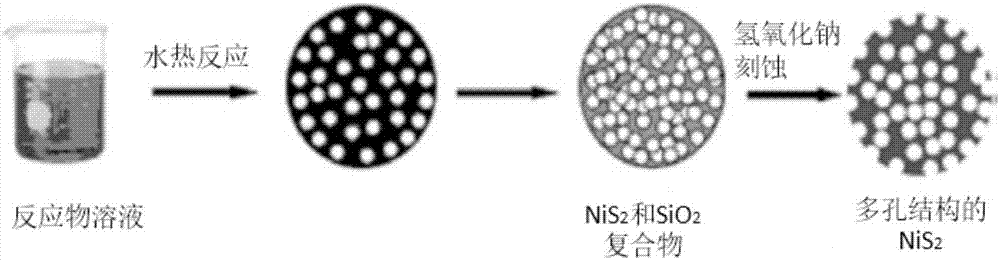 一种孔隙可控的三维多孔NiS2微球及其制备方法和应用与流程