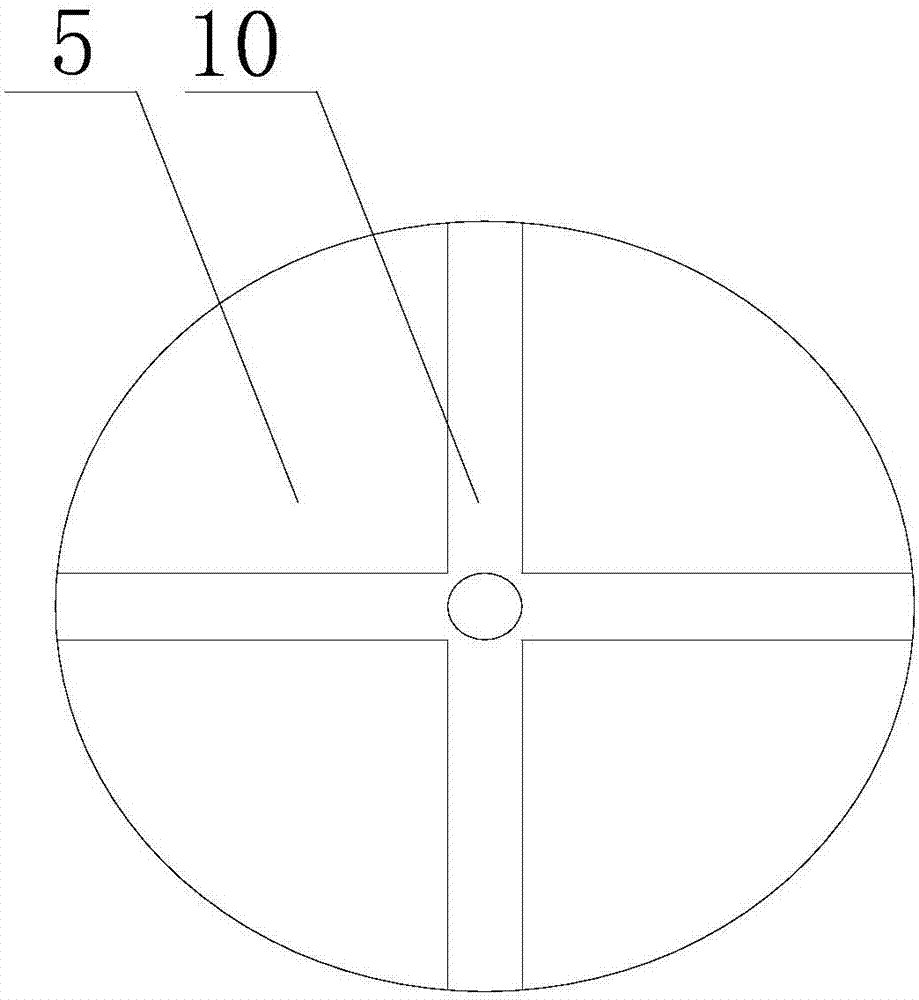 絞股藍(lán)殺青后用揉捻結(jié)構(gòu)的制作方法與工藝