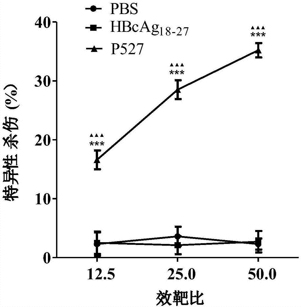 靶向AKAP3的亲和肽P527的制作方法与工艺