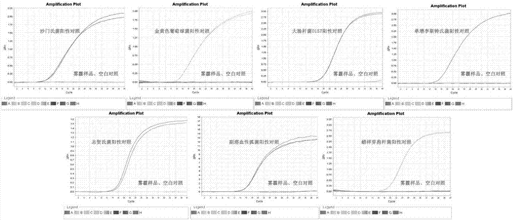 一种快速筛查雾霾中病原微生物的方法与流程