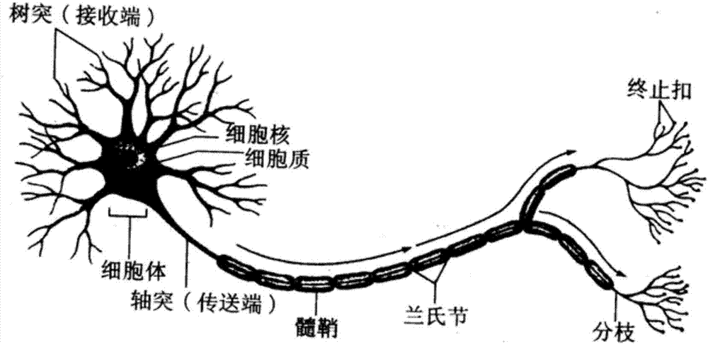 类脑计算系统及其突触的制作方法与工艺