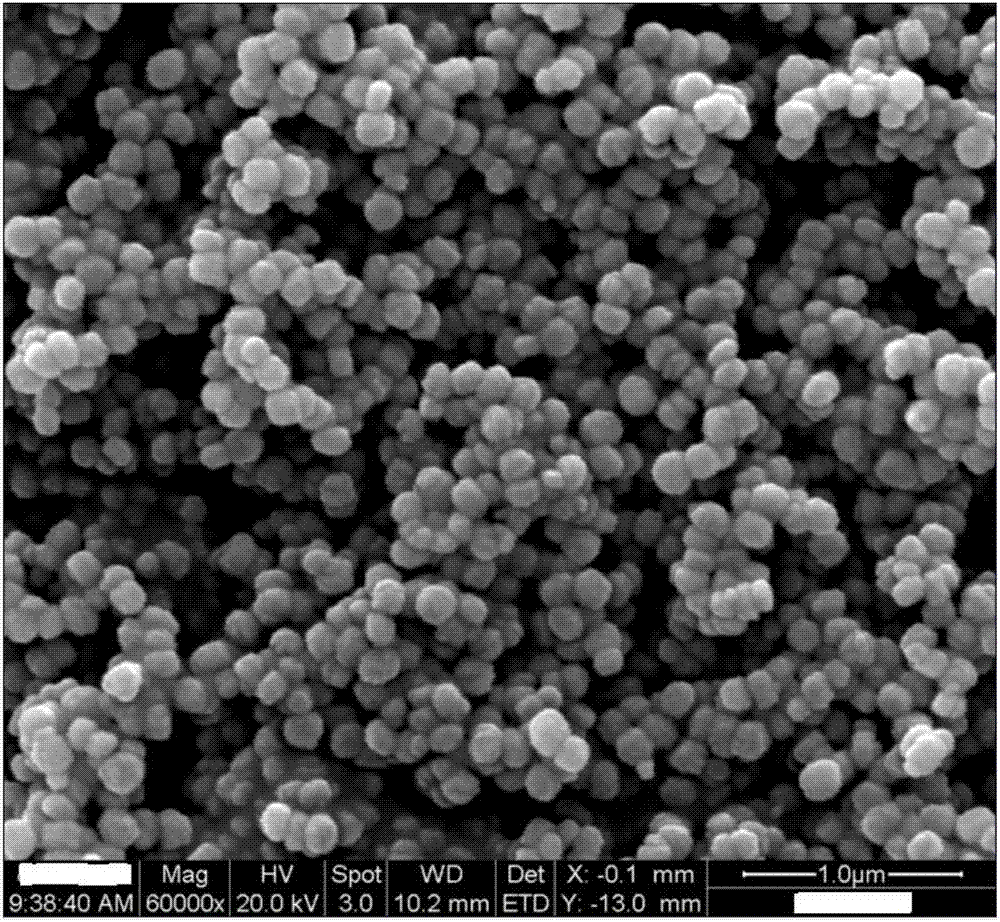 一种含贵金属离子的Silicate-1分子筛及其制备方法与流程