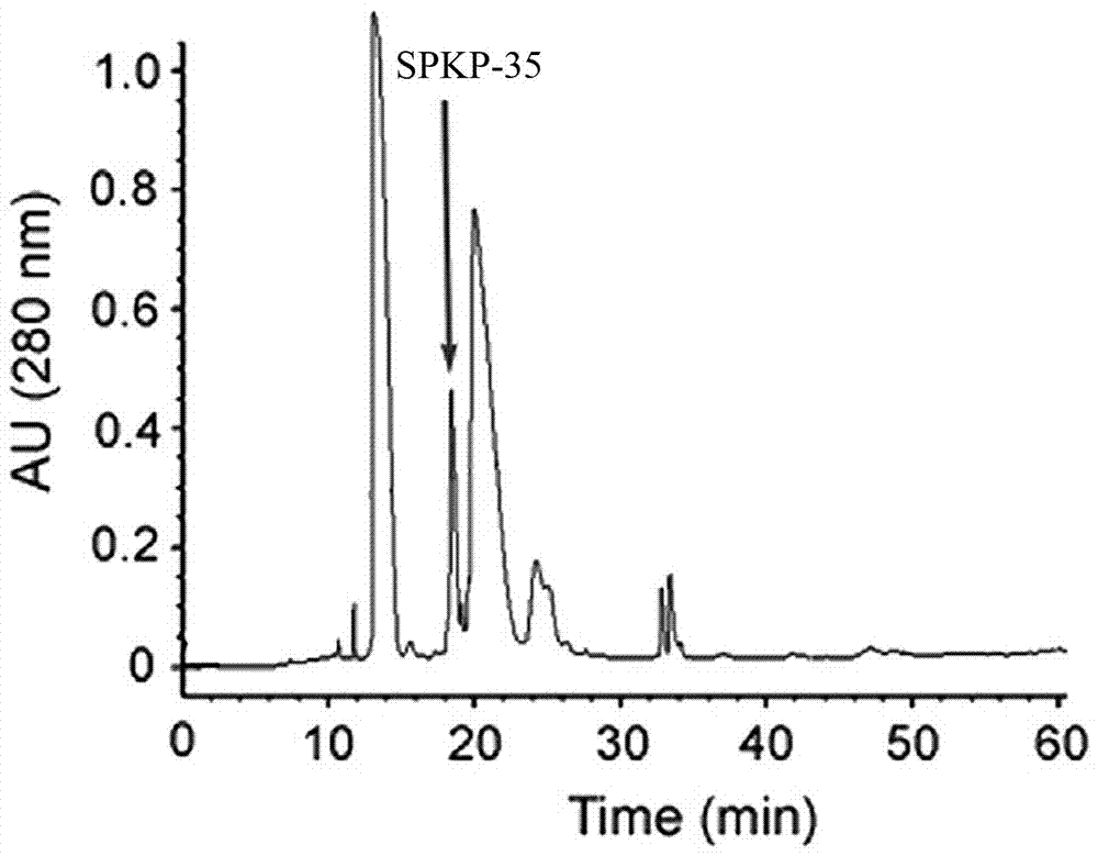 一種天然活性多肽SPKP?35的制作方法與工藝