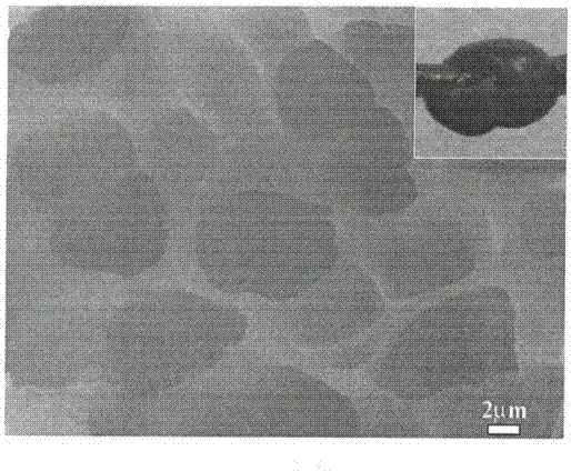 一种高强度温敏型柔性驱动器的制备方法与流程