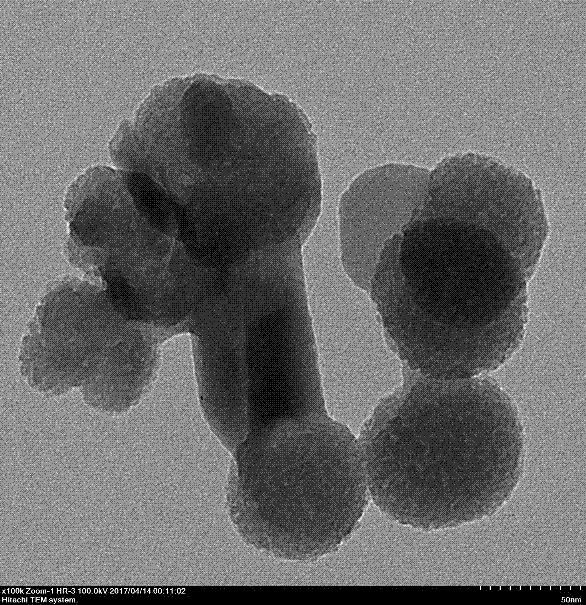 可生物降解荧光介孔二氧化硅复合纳米球及其制备方法与流程