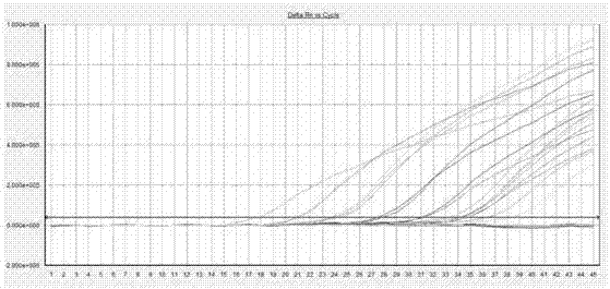 人乳球蛋白mRNA核酸檢測(cè)試劑盒（PCR?熒光探針?lè)ǎ┑闹谱鞣椒ㄅc工藝