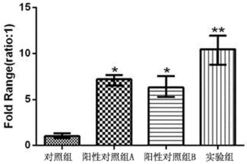 一种诱导脂肪干细胞向软骨细胞分化的诱导剂和方法与流程