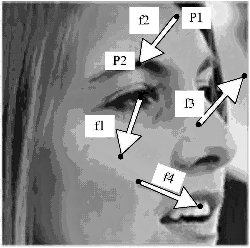 人脸检测方法及装置与流程